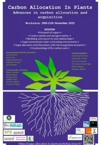 Workshop Carbon Allocation in plants 2023 flyer